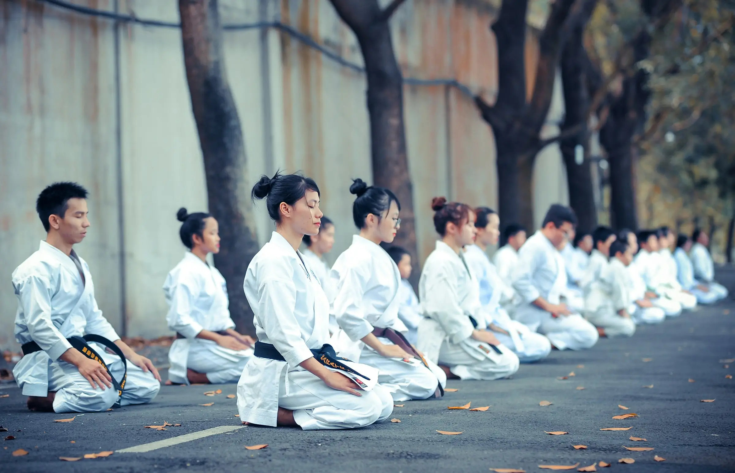 A line of karateka kneeling in seiza